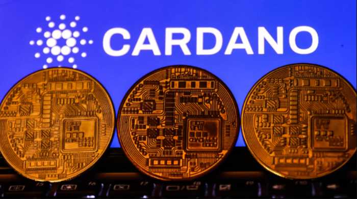 M&aacute; Cardano budoucnost?
