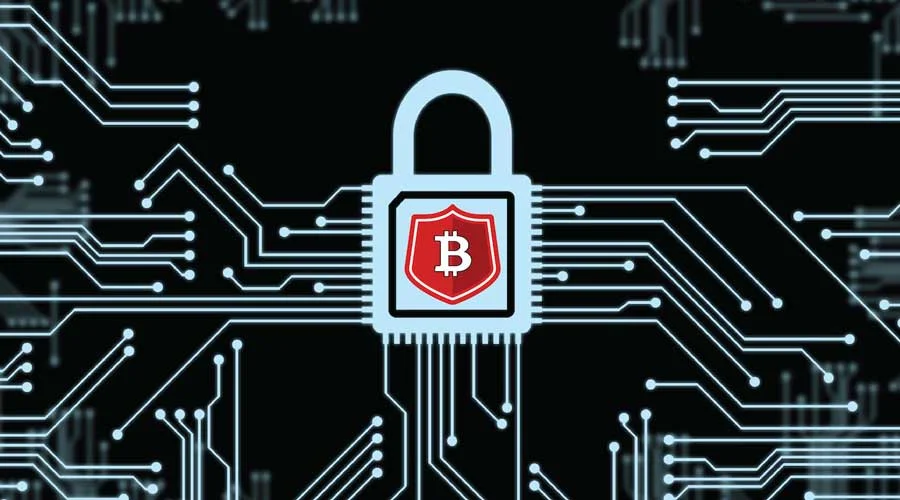 Ak&yacute; je rozdiel medzi kryptopeňaženkou a peňaženkou?

