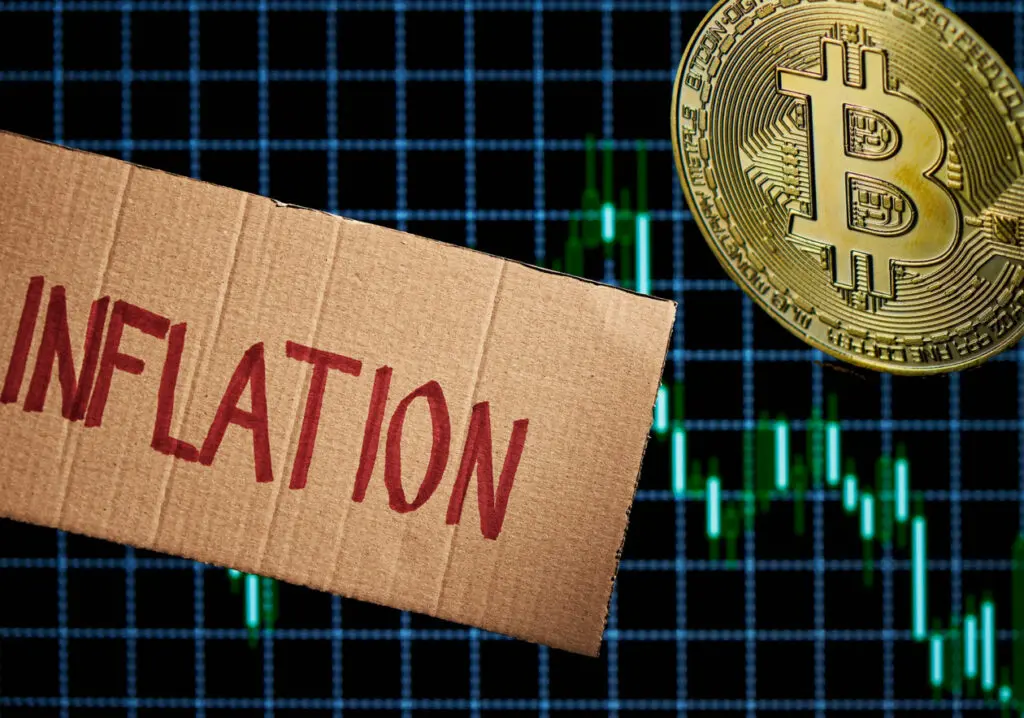M&ocirc;že kryptomena bitcoins kontrolovať infl&aacute;ciu?
