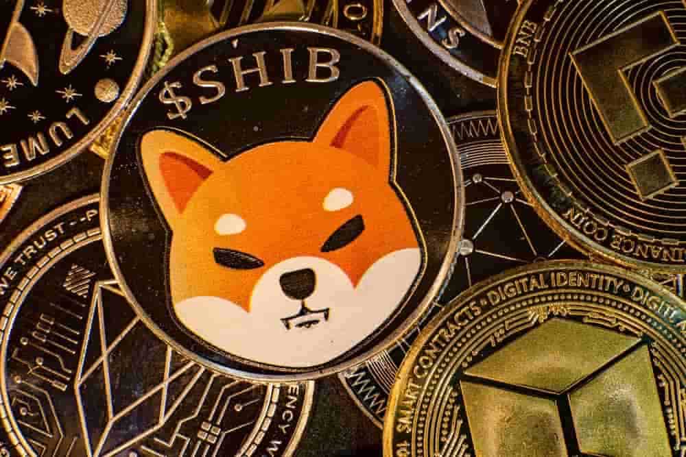 Investor zarobil na kryptomene Shiba