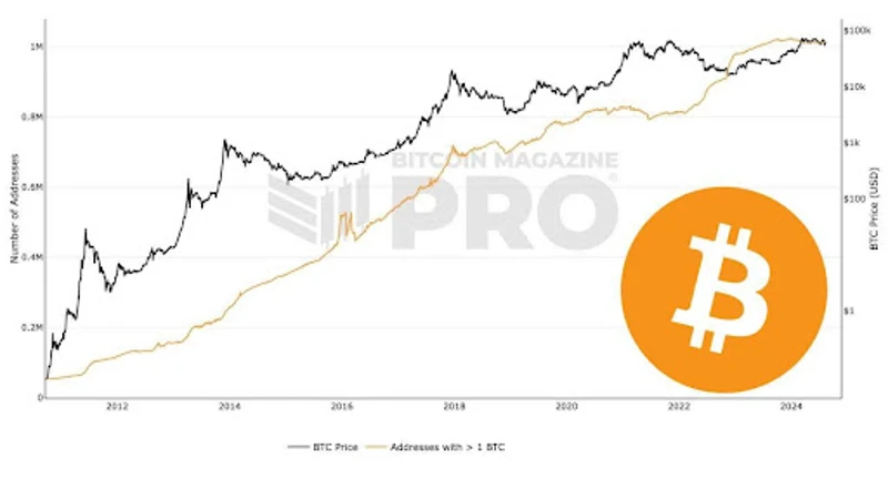 Graf zobrazuj&uacute;ci počet bitcoinov&yacute;ch adries, ktor&eacute; vlastnia 1 BTC

