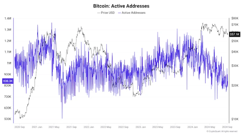 Graf akt&iacute;vnych adries Bitcoinu s prekr&yacute;van&iacute;m cien, ukazuj&uacute;ci nestabiln&eacute; trendy aktivity siete medzi rokmi 2020 a 2024.