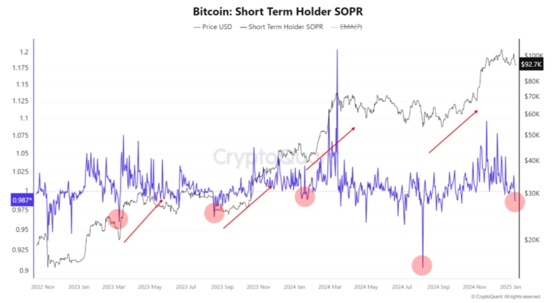 Bitcoinov&yacute; graf kr&aacute;tkodob&eacute;ho držiteľa SOPR s trendmi
